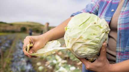 Feeding America takes action against food insecurity