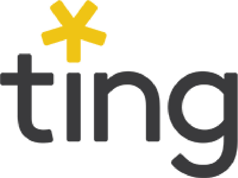 Ting logo