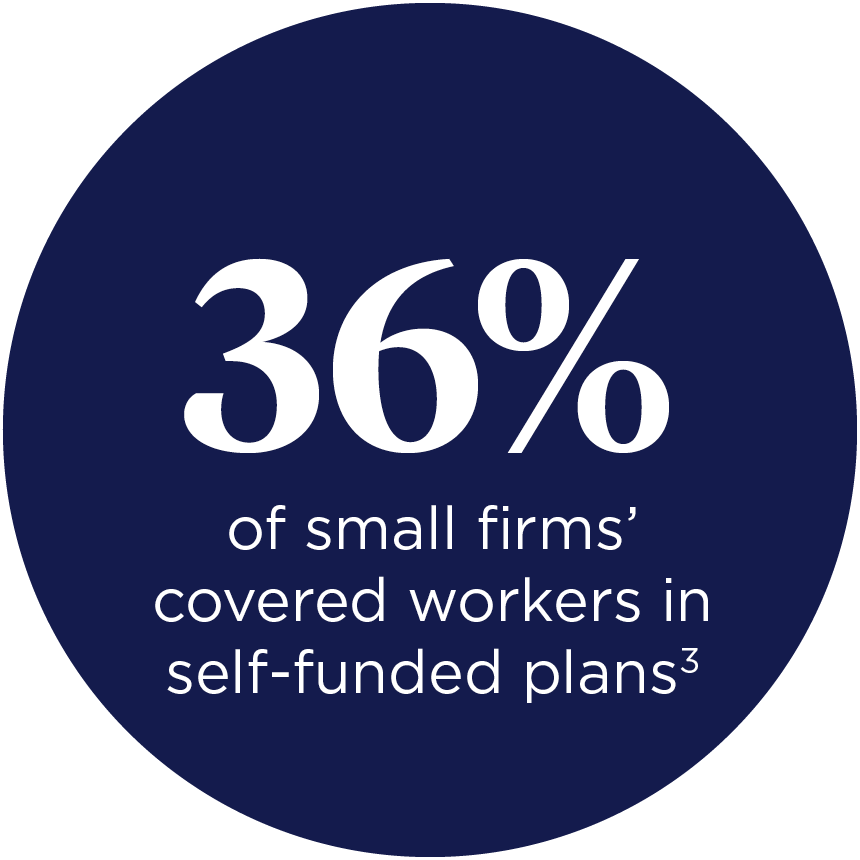 21% of small firms opted to self-fund in 2021