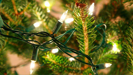 holiday lights on a tree